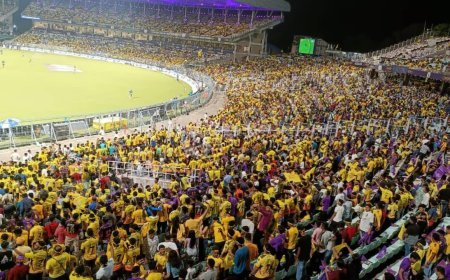 The Viral Side of IPL 2026: Where Cricket Meets Social Media