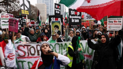 Public Reaction and Voices from the Protest